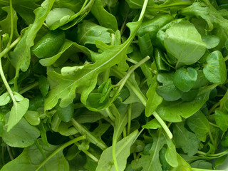 Green Salad