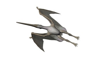 Pteranodon © Paul Moore