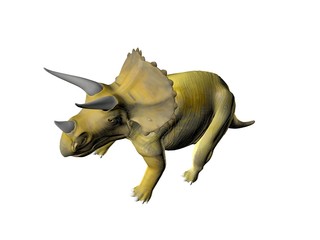 Triceratops