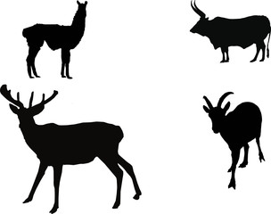 Herbivores vector