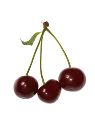 cherry