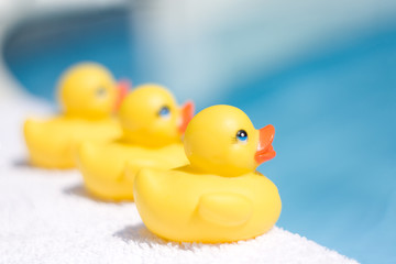 Toy Ducks