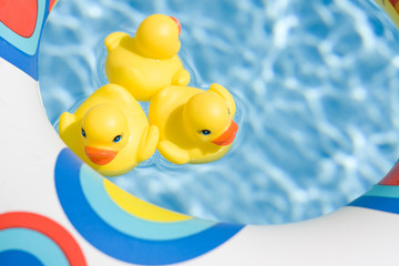 Swimming Ducks