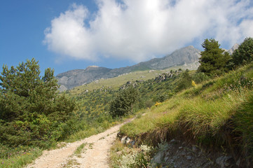 Obraz premium sentiero Viozene