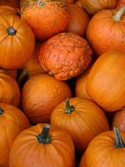 Small Pumpkins