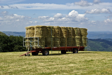 Remorque de foin © delmo07
