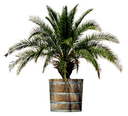 PALME