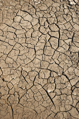 Dry soil background with crack