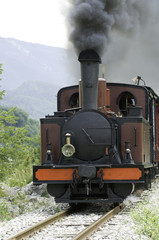 Naklejka premium Steam Train