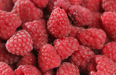 Himbeeren