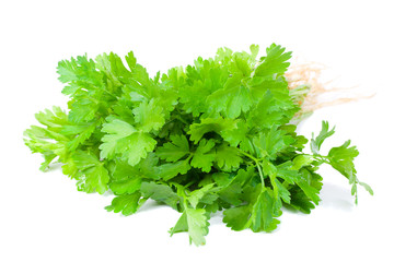 bouquet of parsley