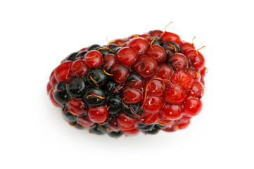 Extreme close up of berry isolated on white