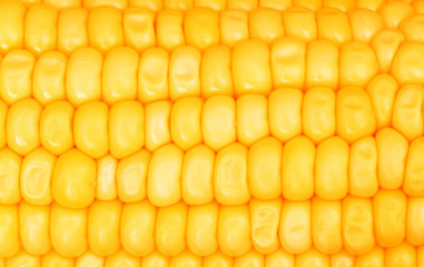 Extreme close up of yellowe corn cobs