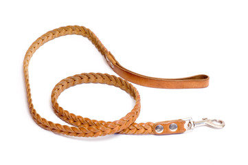 Dog's leash