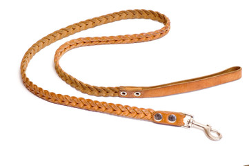 Dog's leash