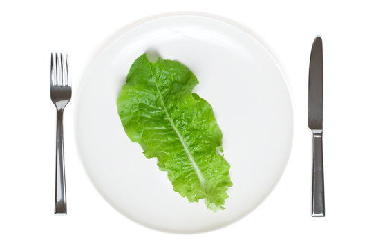 single lettuce leaf on a plate
