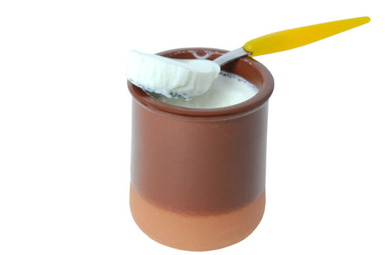 yogourt bio