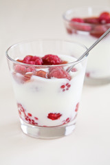 Raspberry yogurt dessert