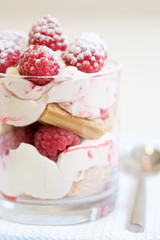 Delicious raspberry dessert