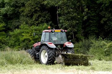 Naklejka premium Fauchage