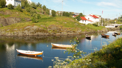 quiet fjord