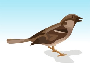 Sparrow