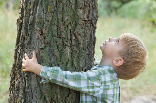 care of nature - little boy embrace a tree