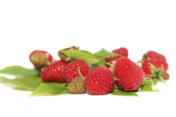 Fototapeta na wymiar Ruspberries