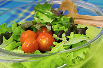 Bright green fresh salad