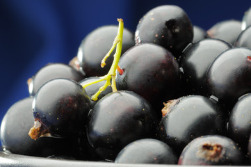 Black currants.