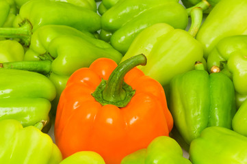 Stand out from crowd concept with green and orange pepper