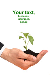 business men a plant