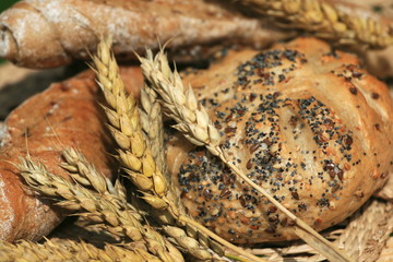 Pastry and corn