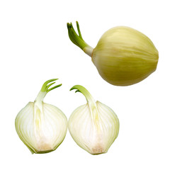 oignons entier, coup&eacute;