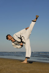 taekwondo