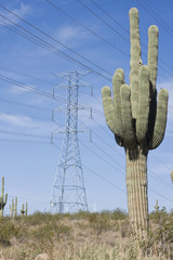 Towers in the desert