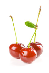 Three cherries