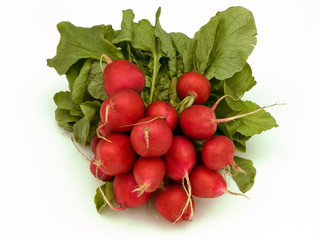 Bunch of radish