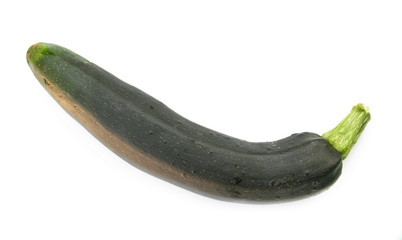 Pumpkin marrow vegetable Squash