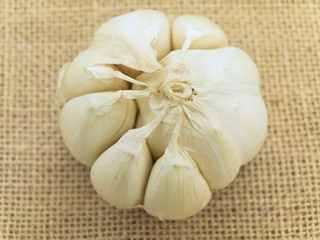 Single garlic at the brown linen