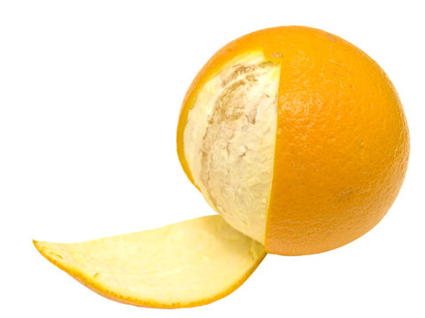 Isolated orange against the white background