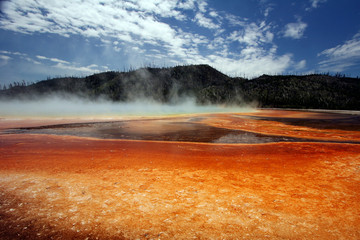 yellowstone color