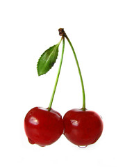 Cherry
