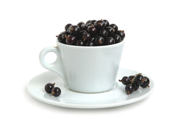 Black currants