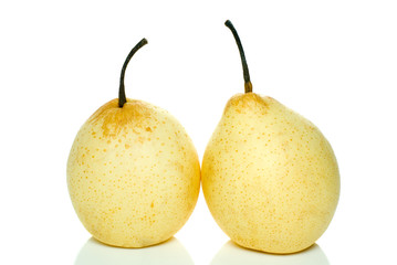 Pair of yellow pears
