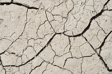 parched earth
