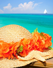 Hat and Starfish by Ocean