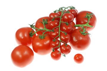 Tomatoes on white.