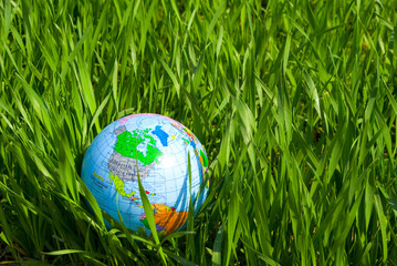Fototapeta na wymiar globe in lawn