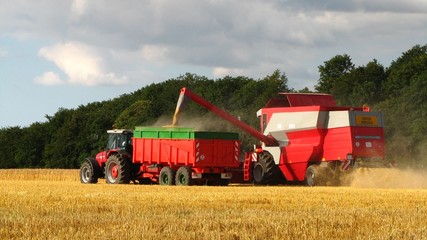 Fototapeta premium Tracteur et moissonneuse rouge